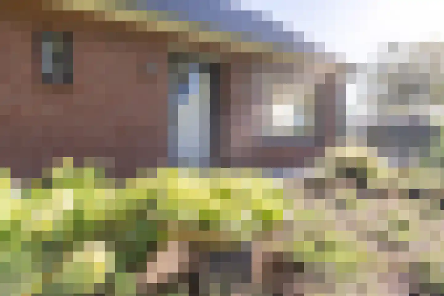 Gening 19 Afferden L thumbnail 72