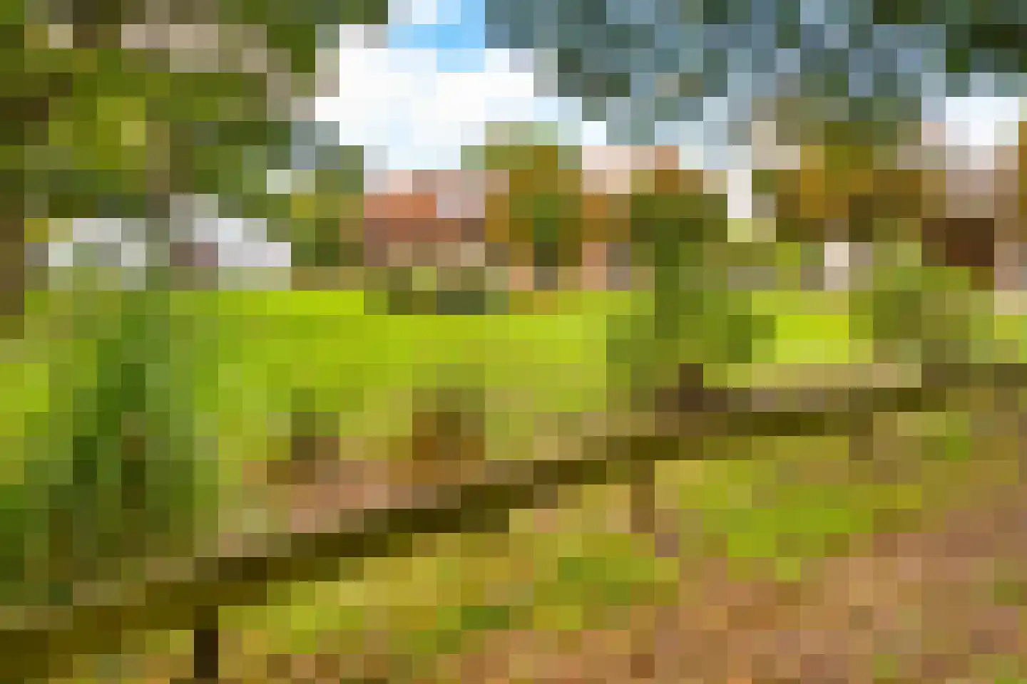 Gening 35 Afferden L thumbnail 101
