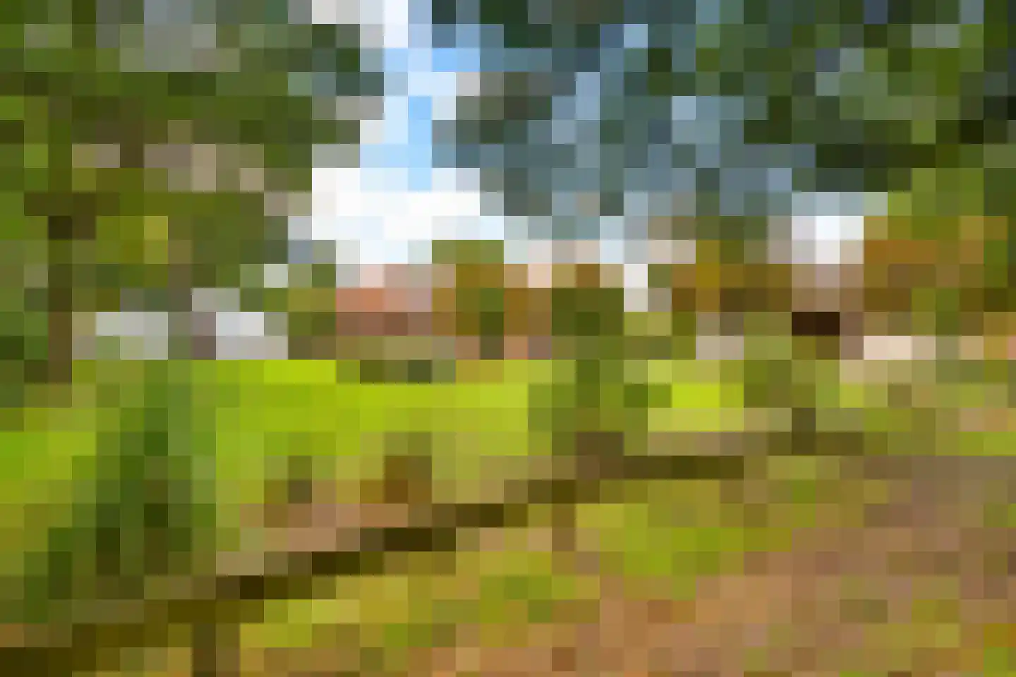 Gening 35 Afferden L thumbnail 103