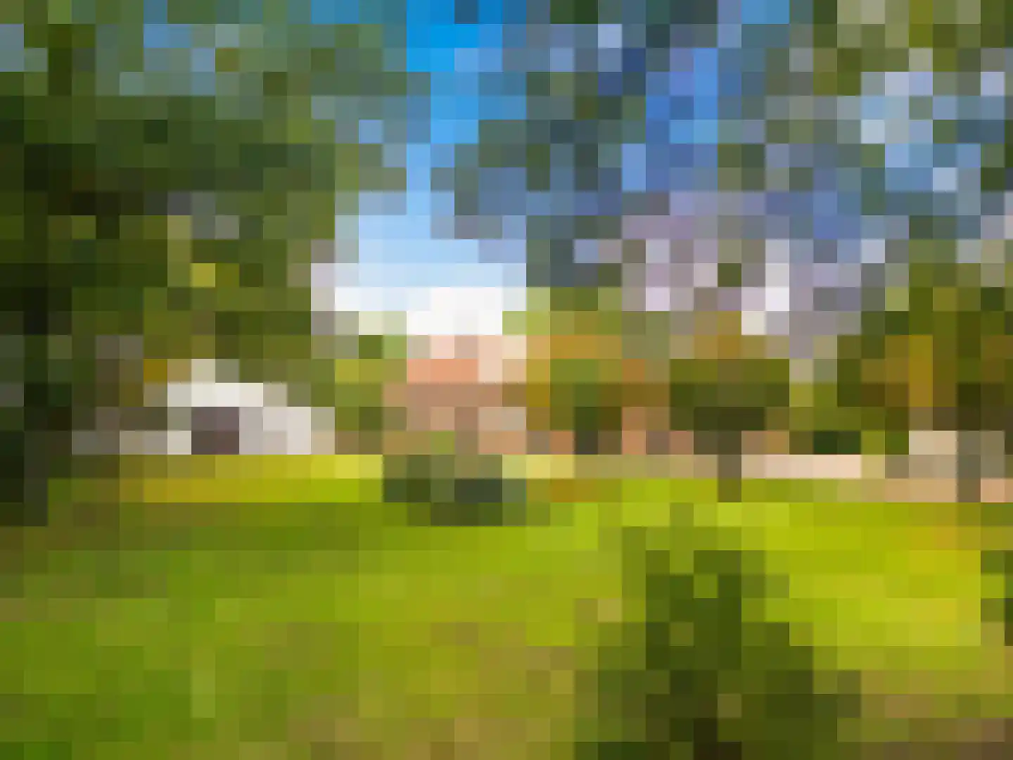 Gening 35 Afferden L thumbnail 105