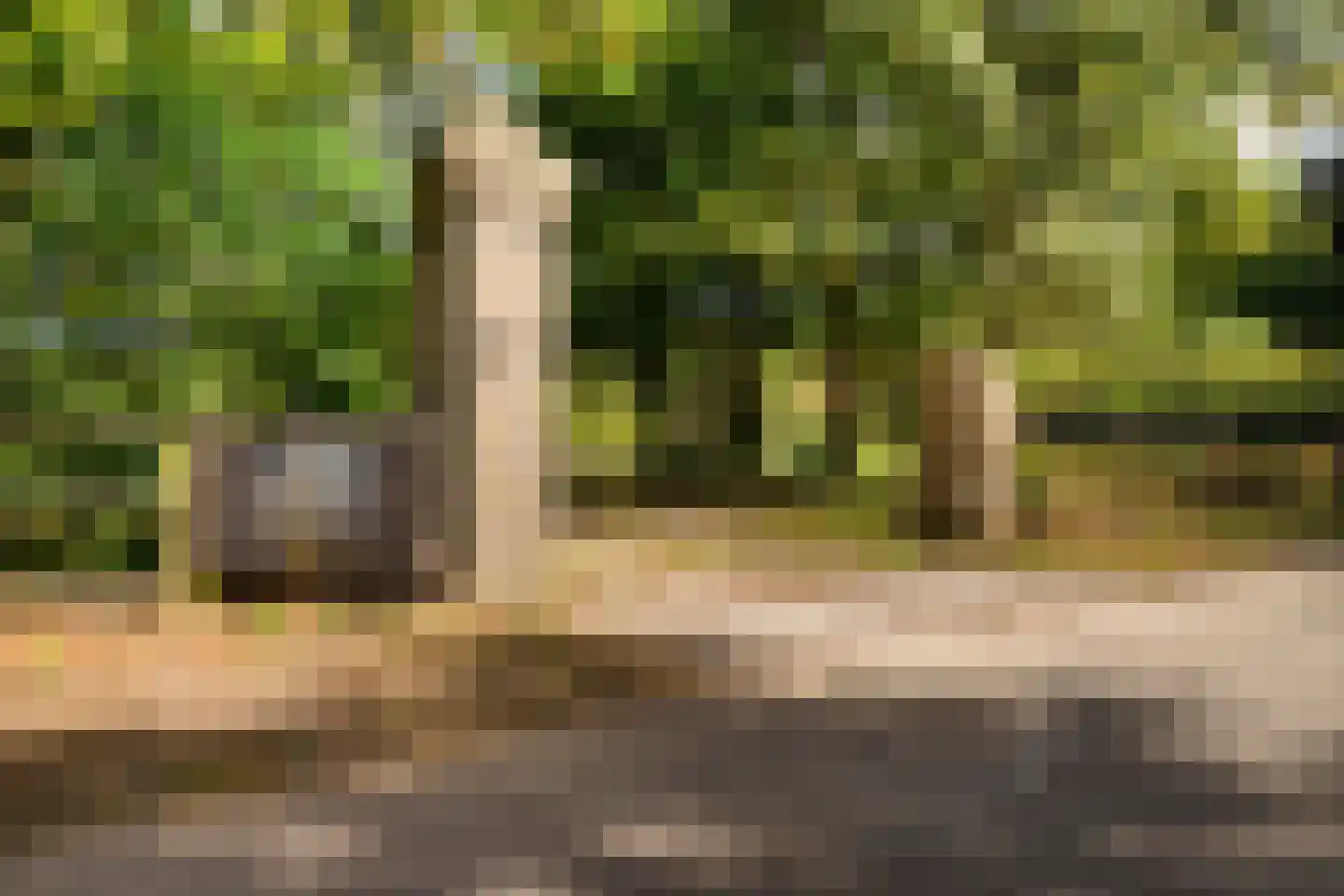 Gening 35 Afferden L thumbnail 106