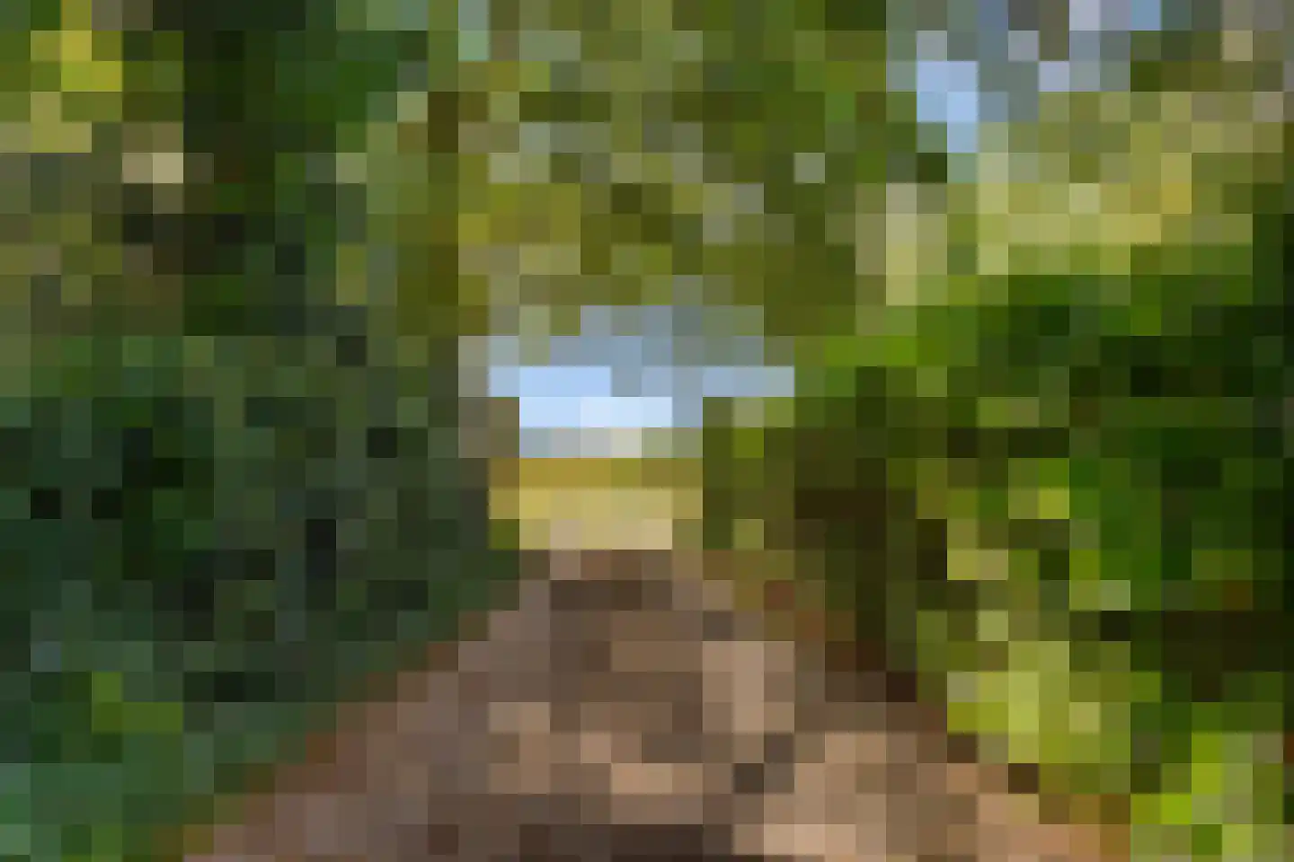 Gening 35 Afferden L thumbnail 107