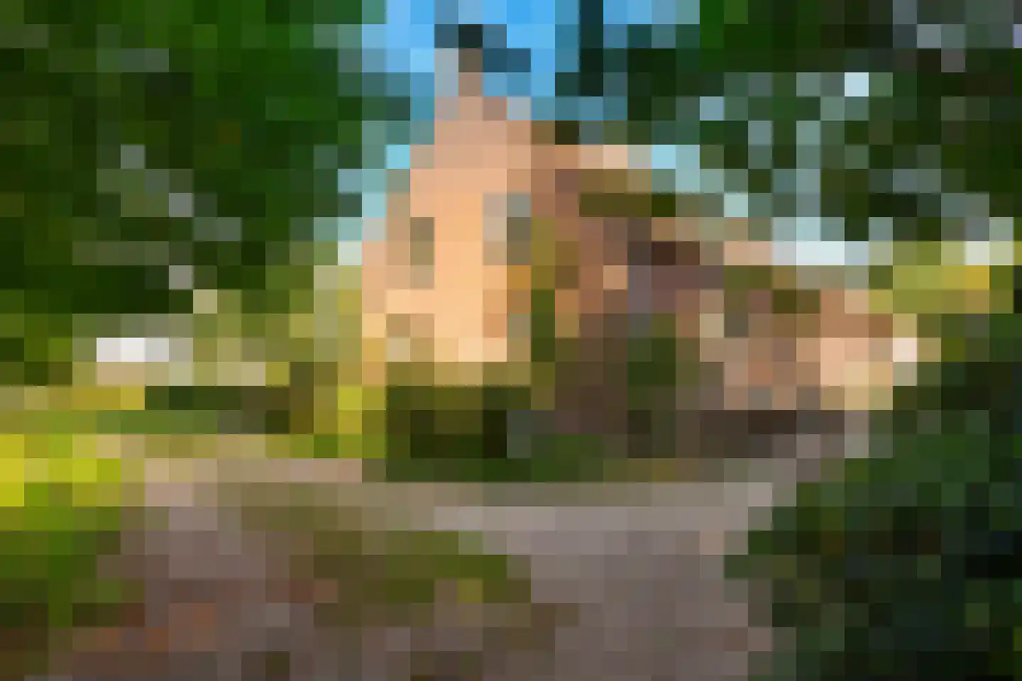 Gening 35 Afferden L thumbnail 110