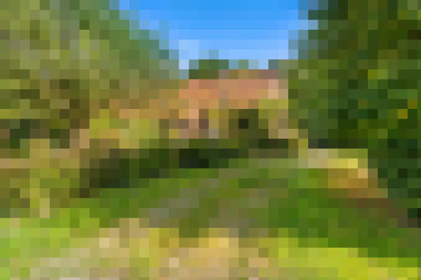 Gening 35 Afferden L thumbnail 111