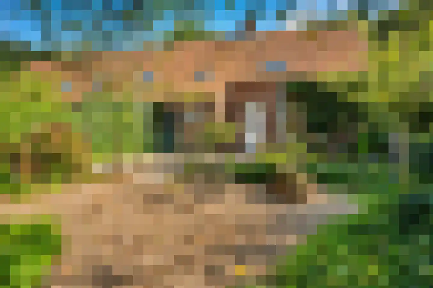 Gening 35 Afferden L thumbnail 113