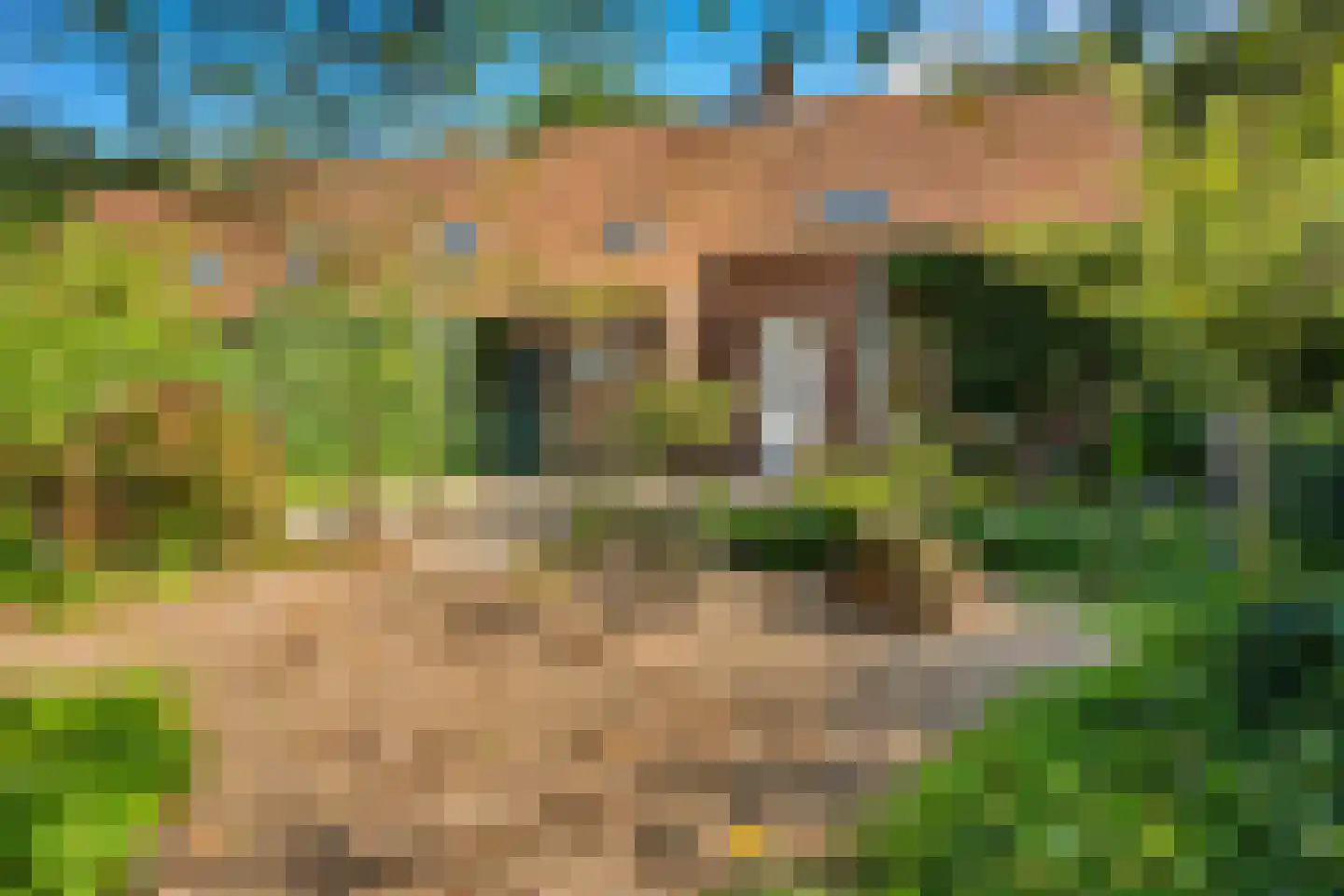 Gening 35 Afferden L thumbnail 114
