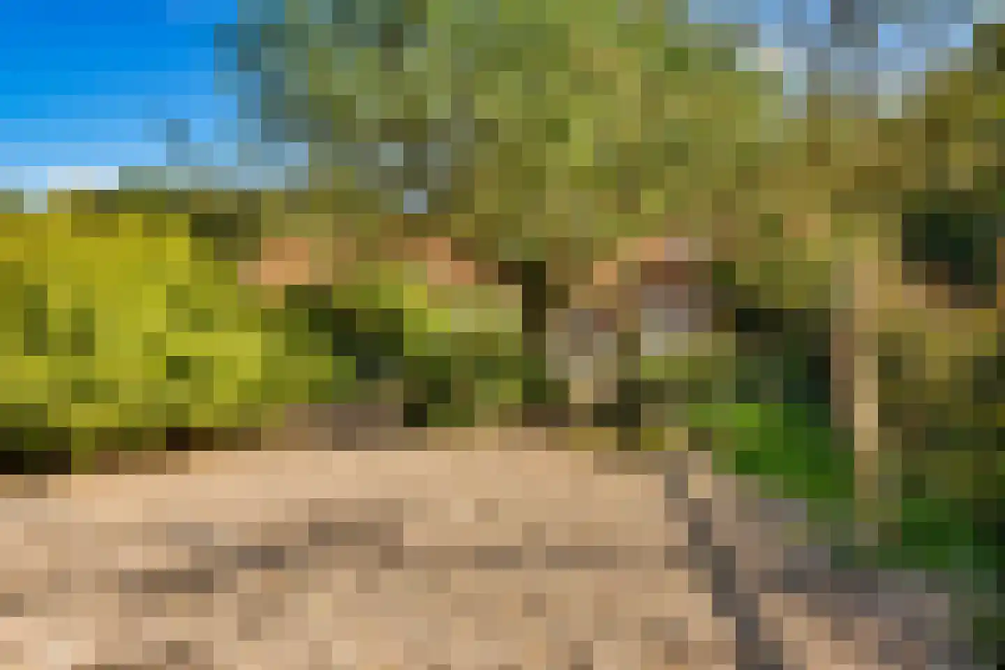 Gening 35 Afferden L thumbnail 114
