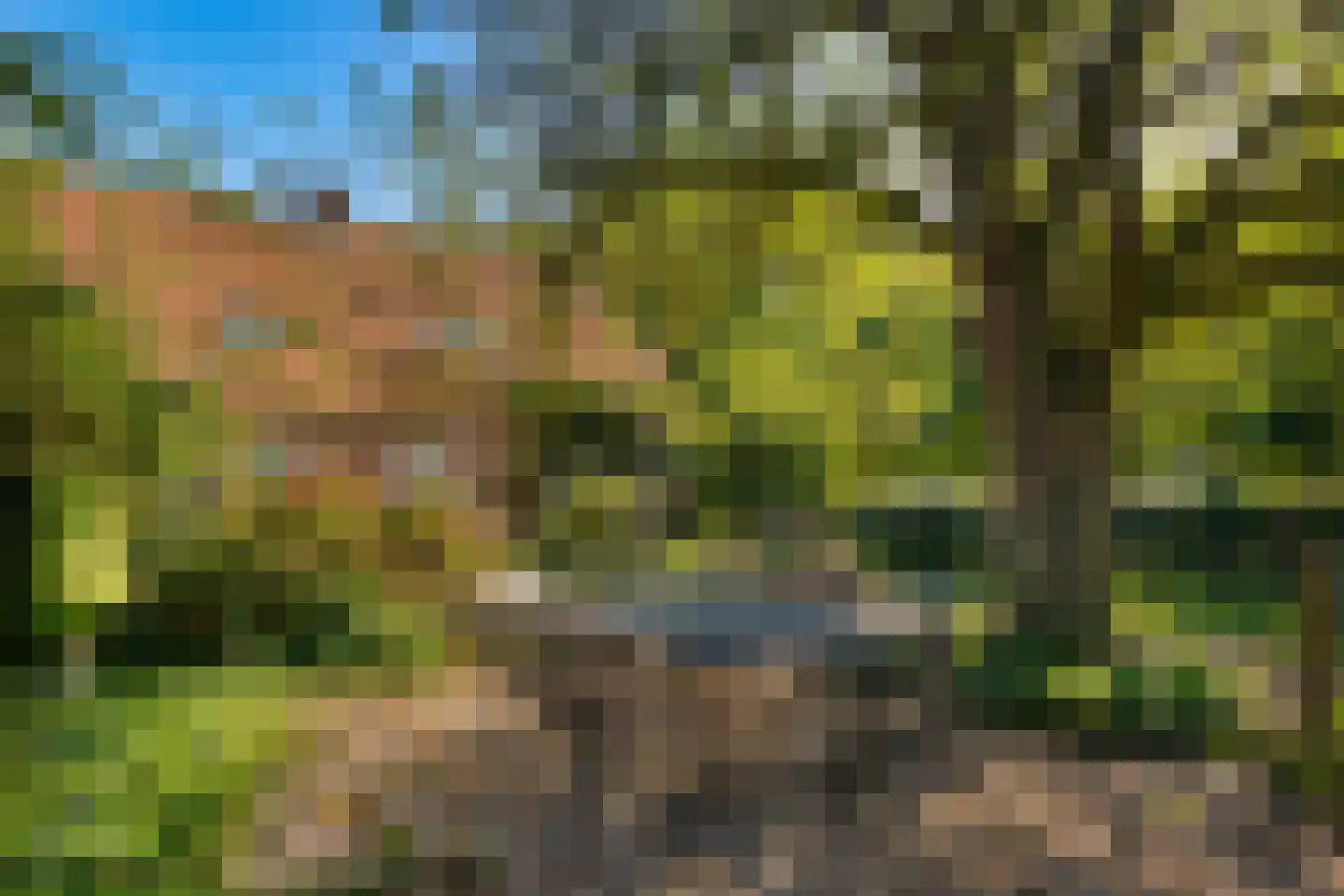Gening 35 Afferden L thumbnail 115