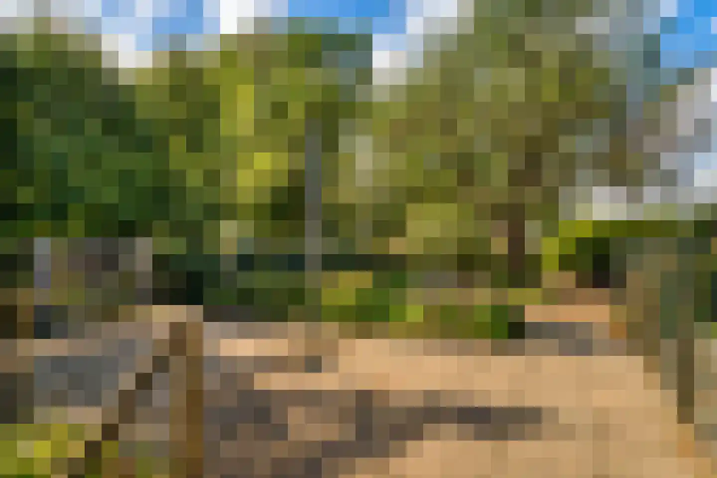 Gening 35 Afferden L thumbnail 117