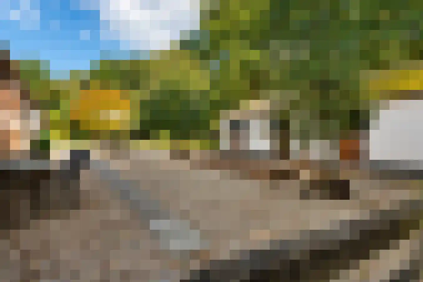 Gening 35 Afferden L thumbnail 119