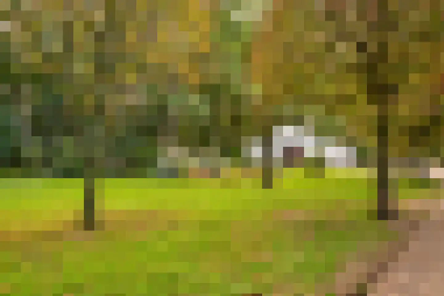 Gening 35 Afferden L thumbnail 126