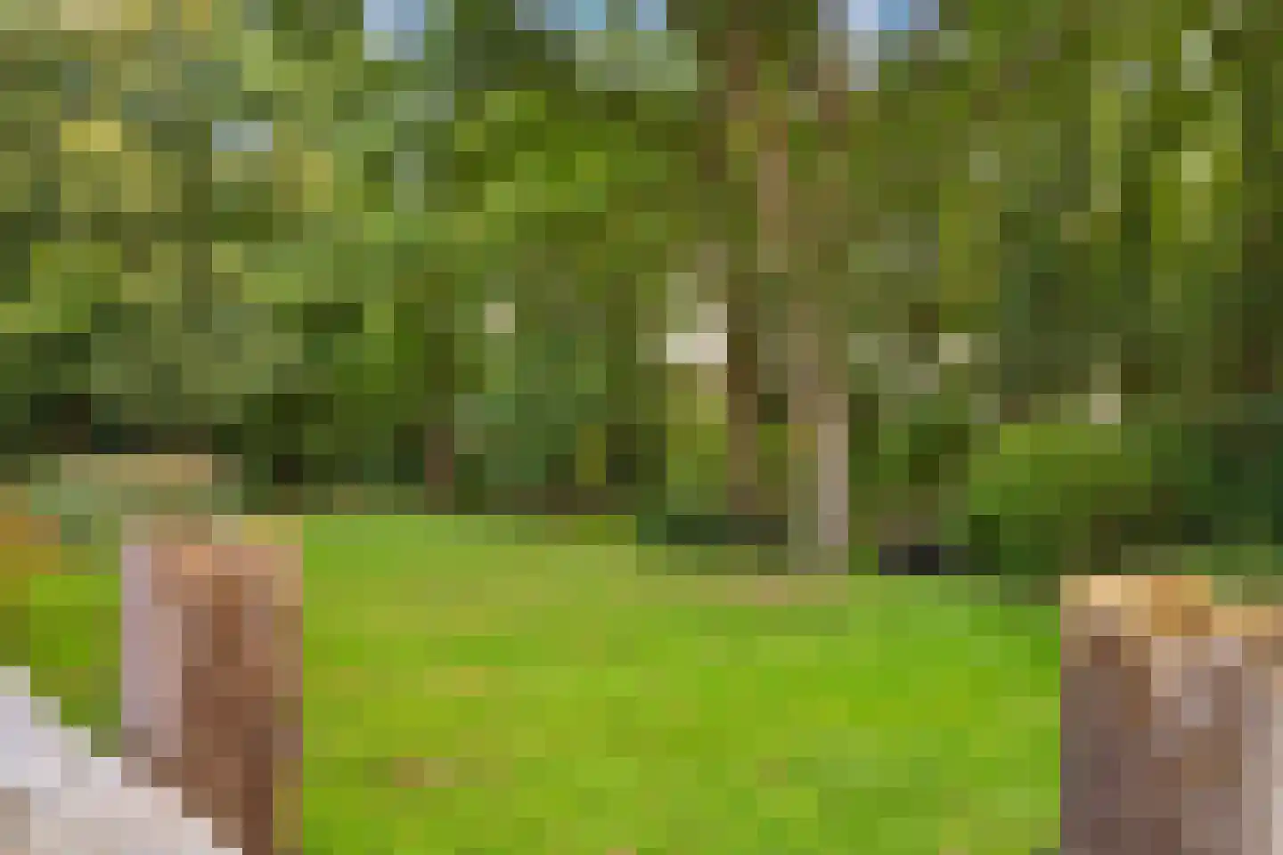 Gening 35 Afferden L thumbnail 129