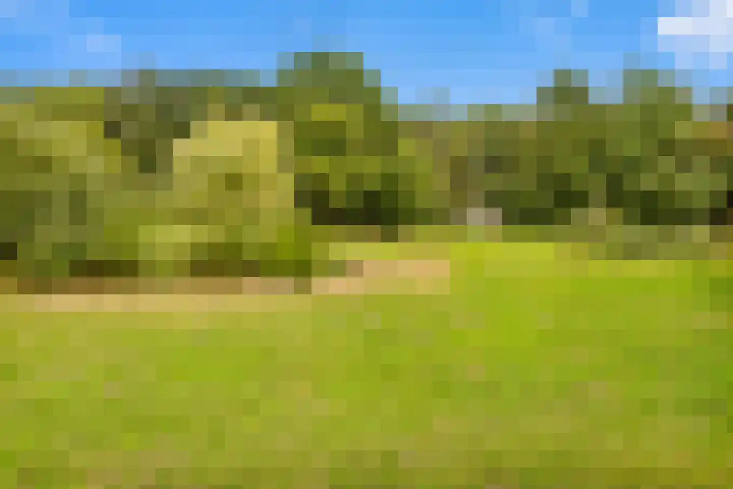 Gening 35 Afferden L thumbnail 131