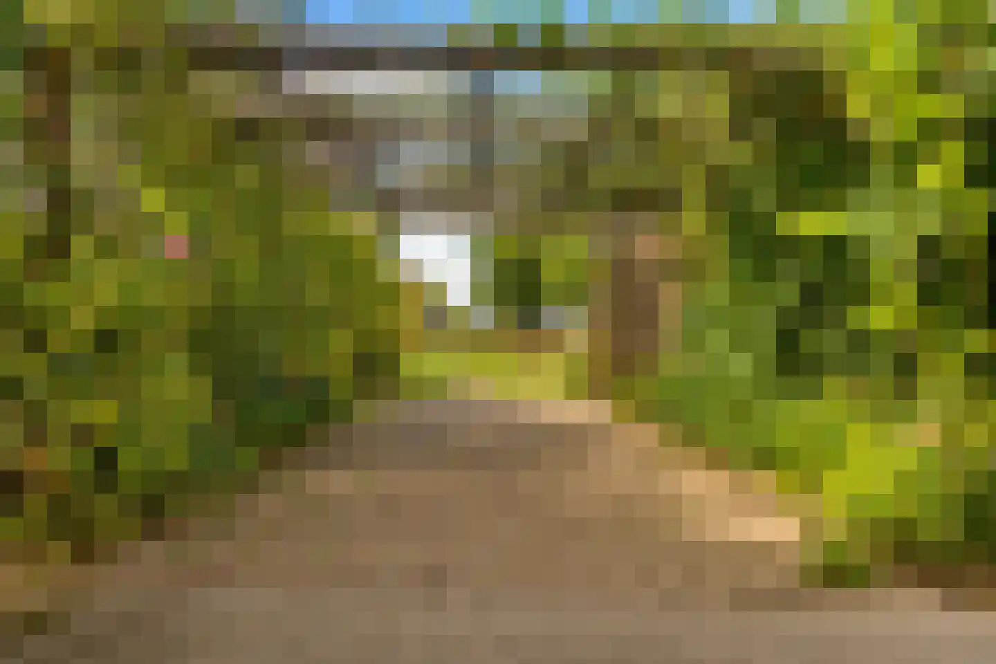 Gening 35 Afferden L thumbnail 132