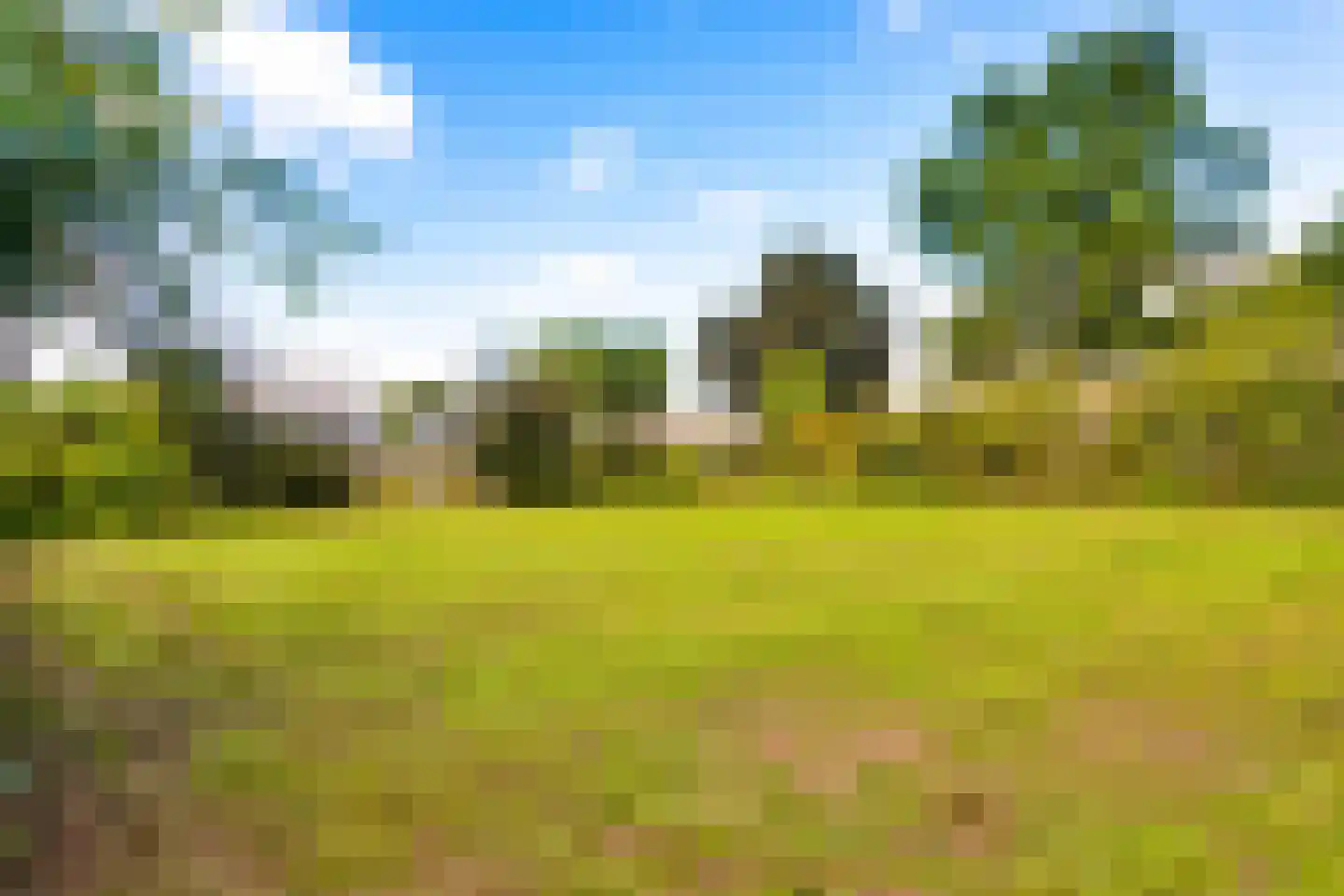 Gening 35 Afferden L thumbnail 134