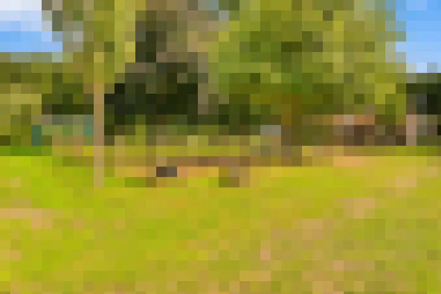 Gening 35 Afferden L thumbnail 135
