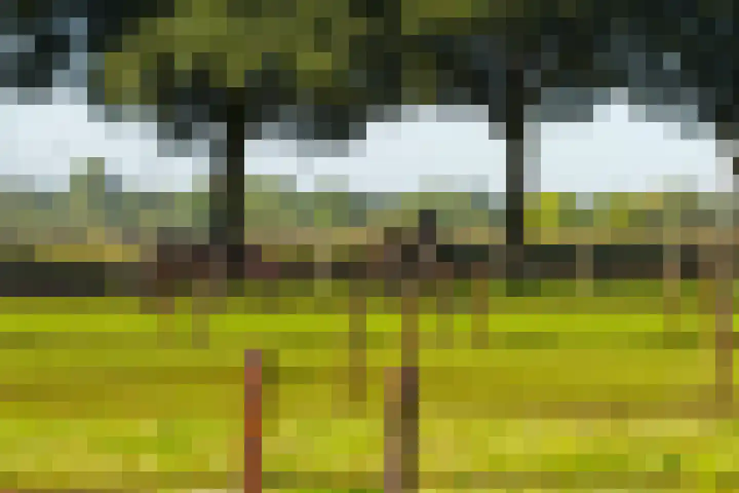 Gening 35 Afferden L thumbnail 136