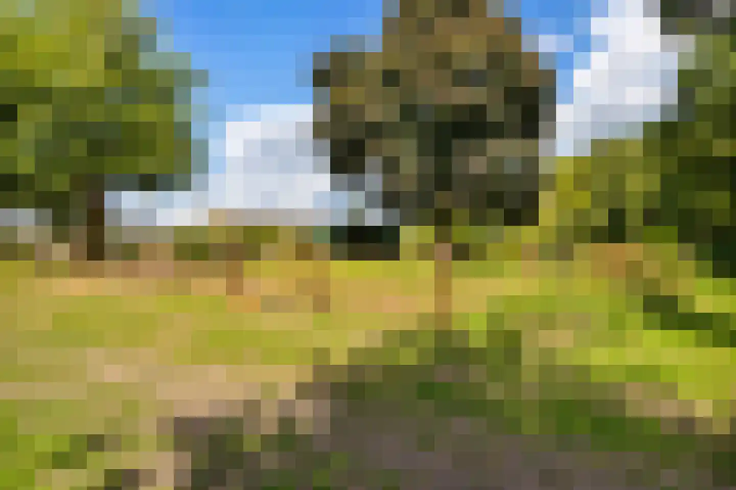 Gening 35 Afferden L thumbnail 138