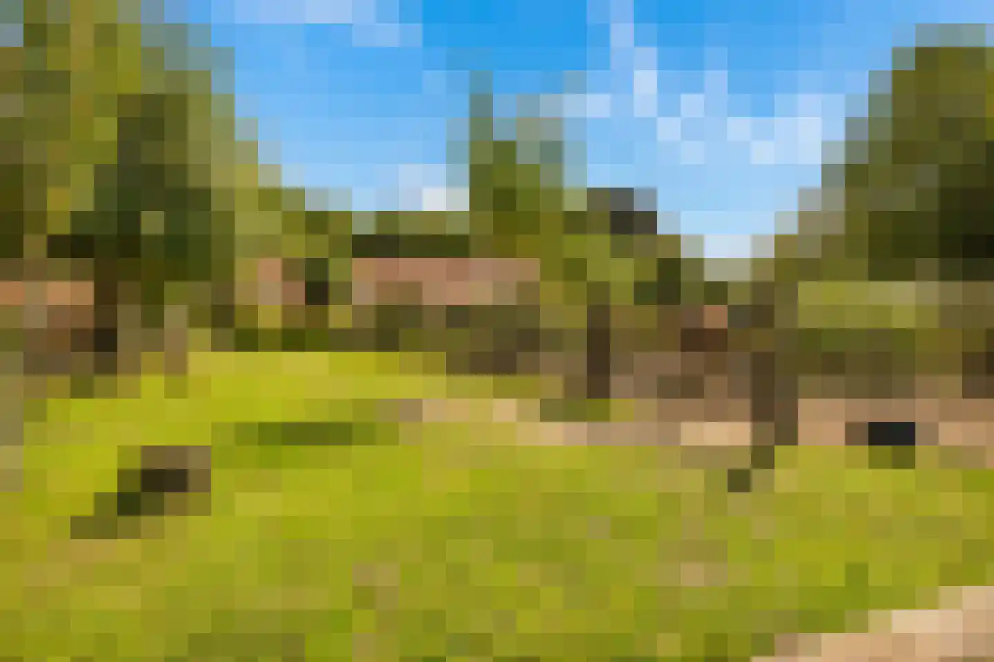 Gening 35 Afferden L thumbnail 142