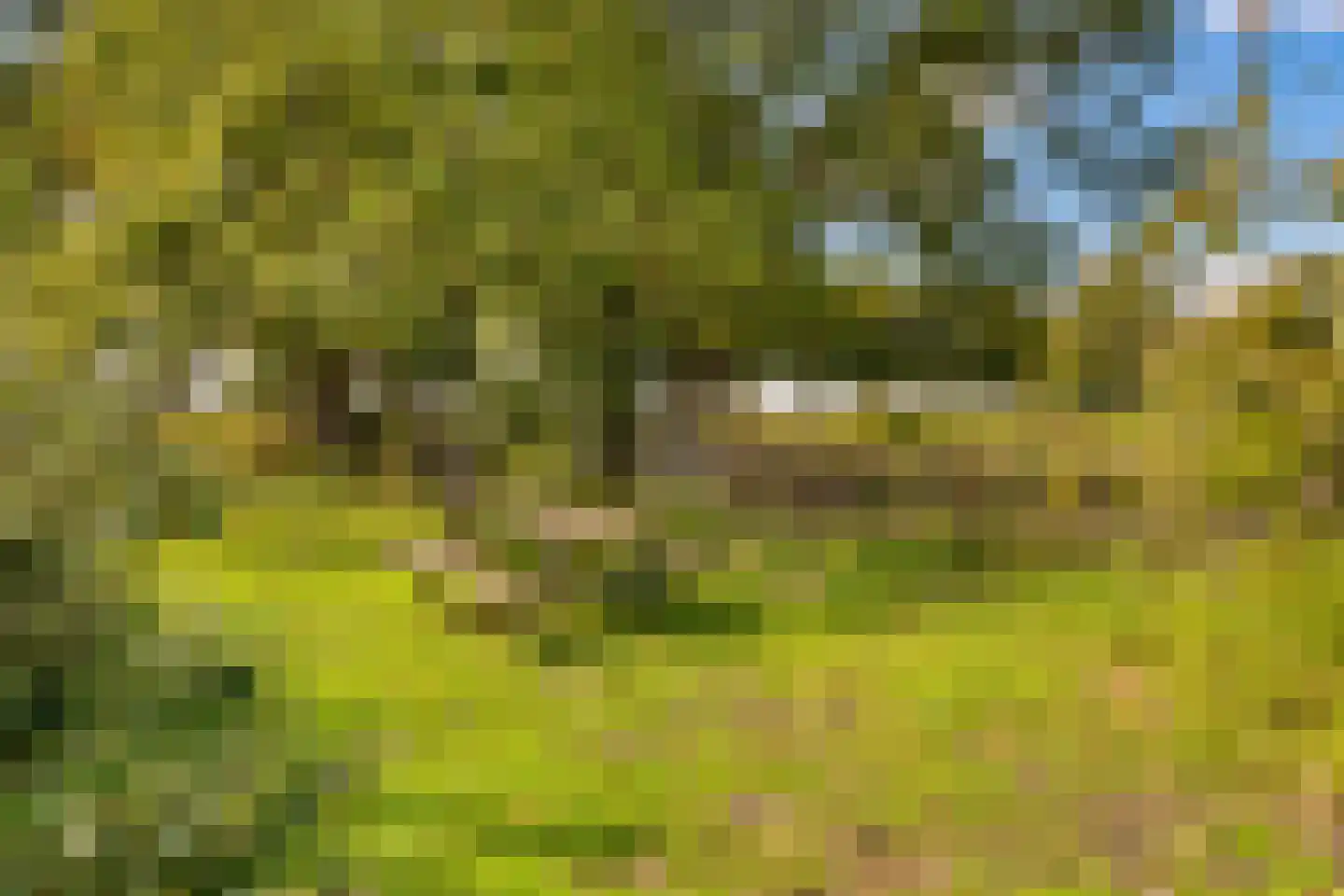 Gening 35 Afferden L thumbnail 143