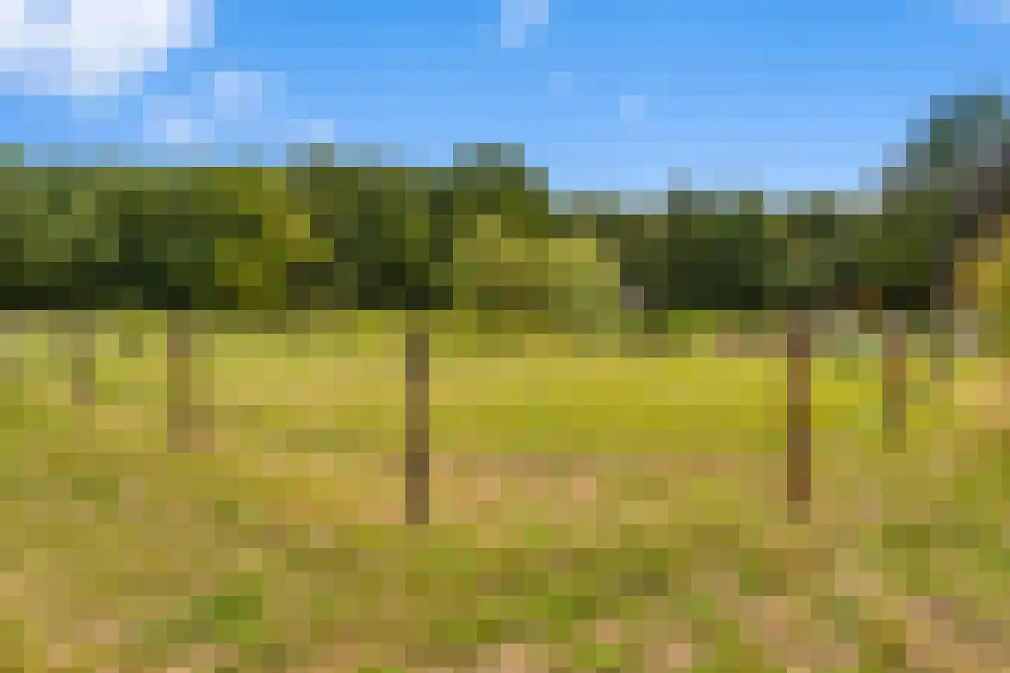 Gening 35 Afferden L thumbnail 144