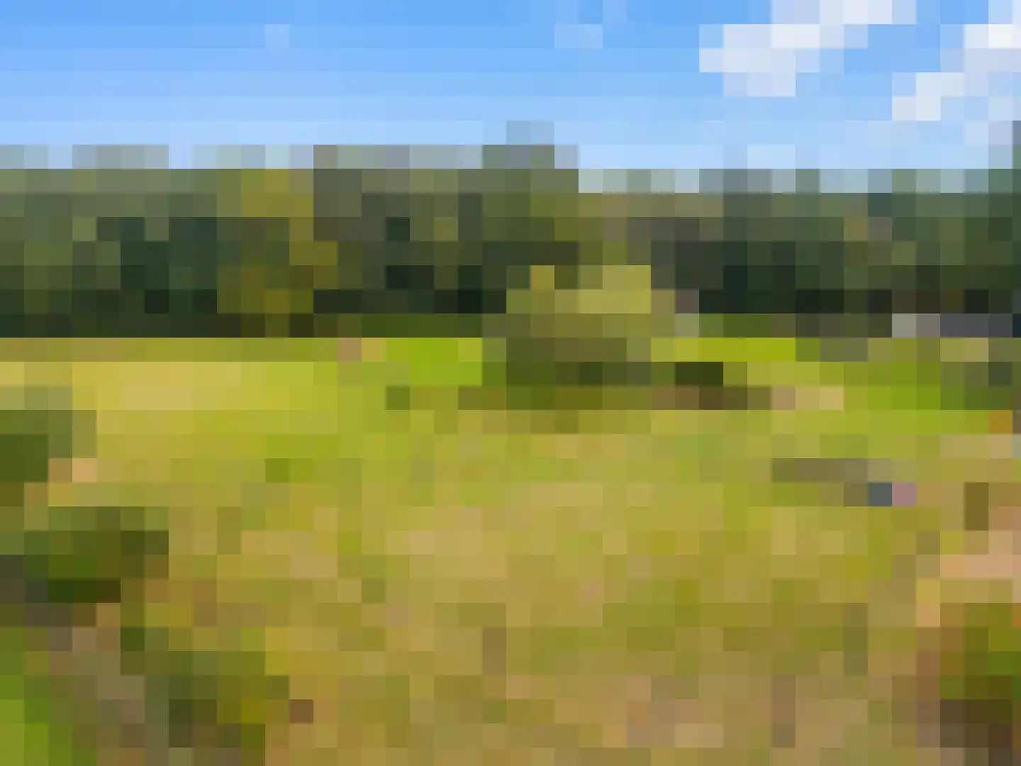 Gening 35 Afferden L thumbnail 146