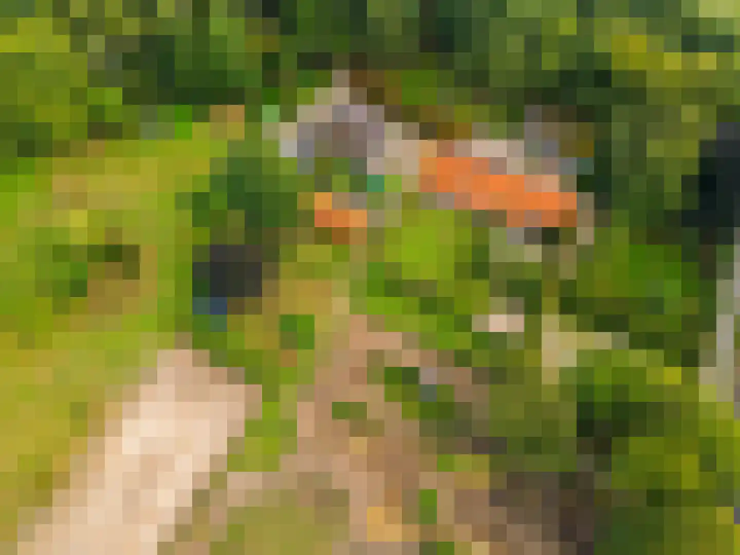 Gening 35 Afferden L thumbnail 147