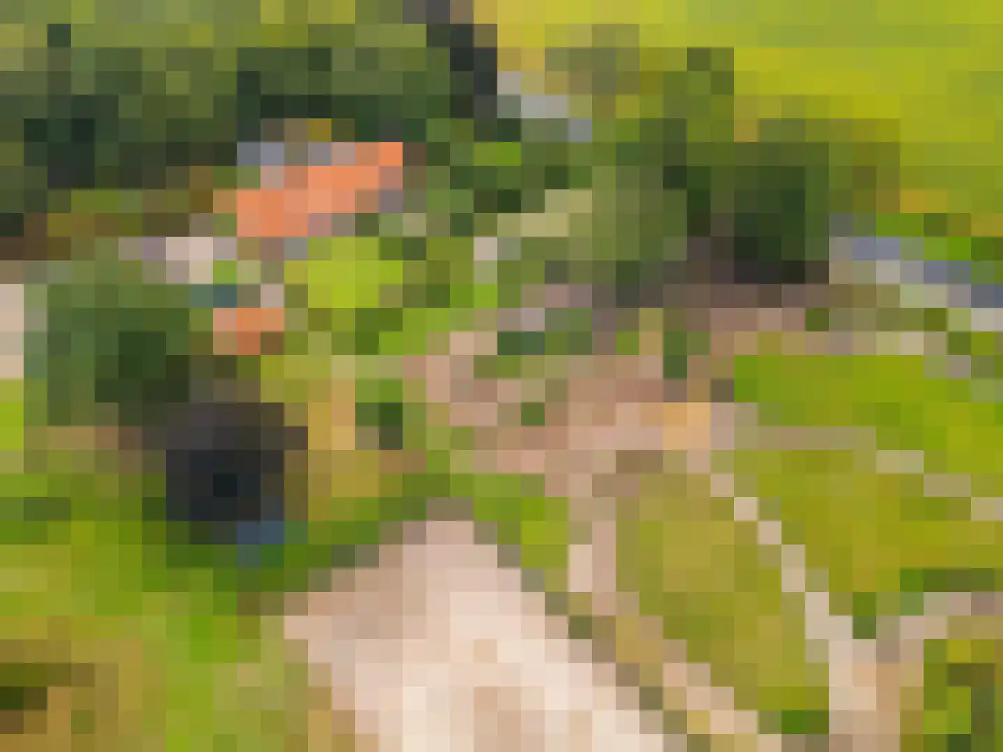 Gening 35 Afferden L thumbnail 148