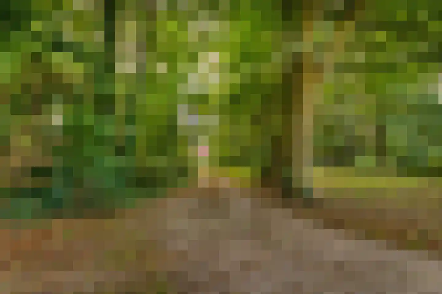 Gening 35 Afferden L thumbnail 149