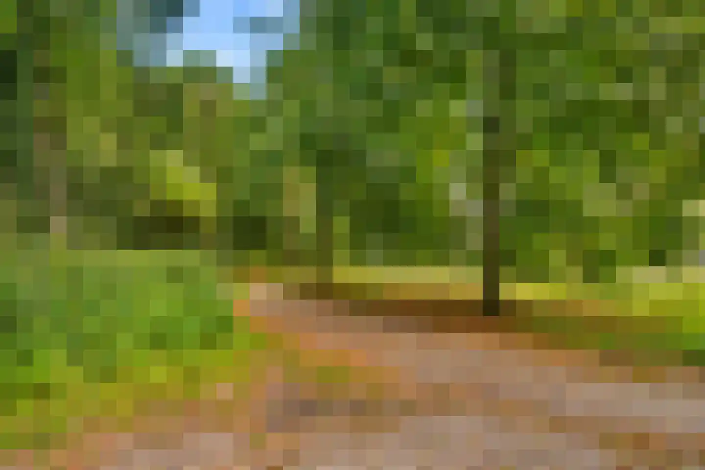 Gening 35 Afferden L thumbnail 150