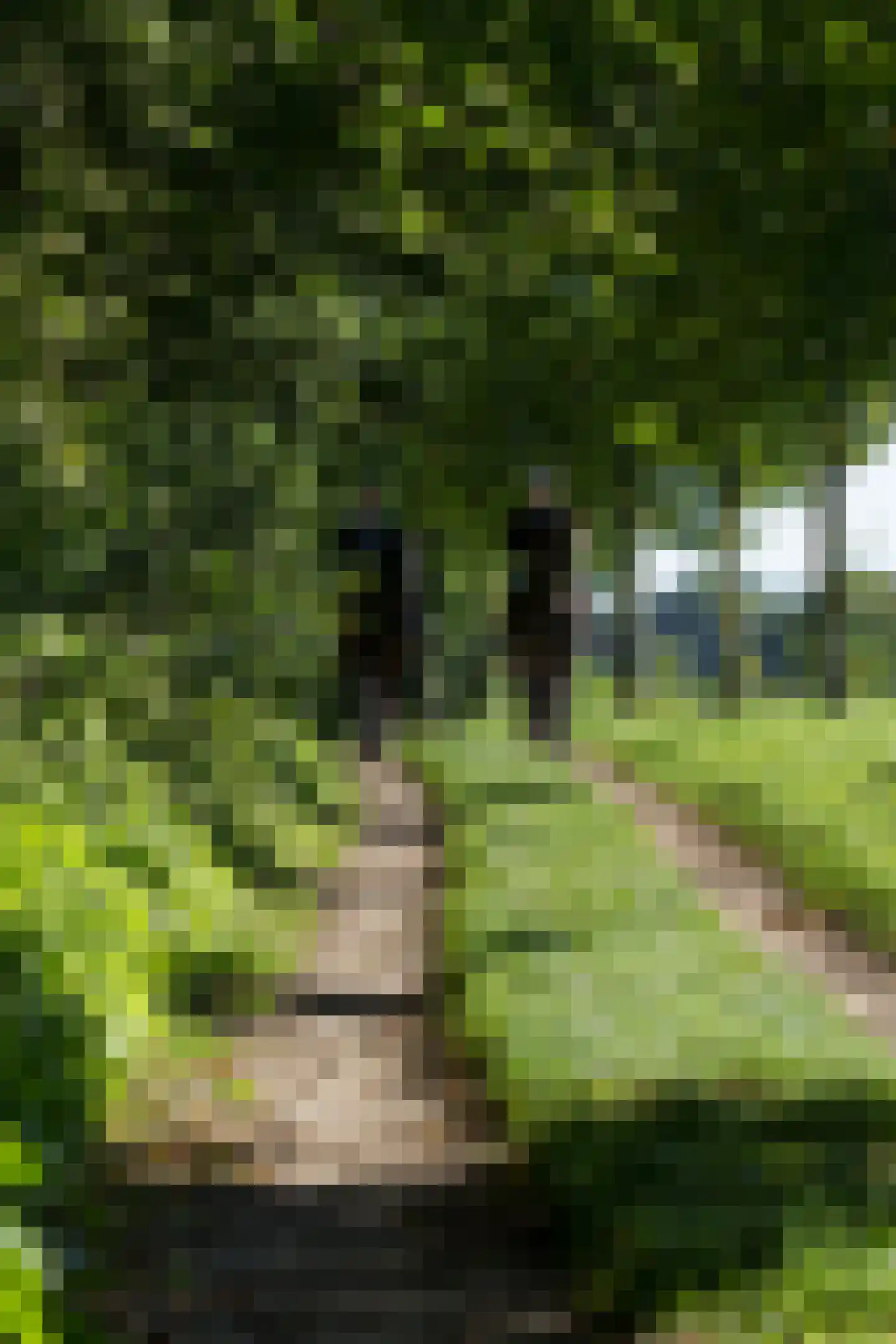 Gening 35 Afferden L thumbnail 151