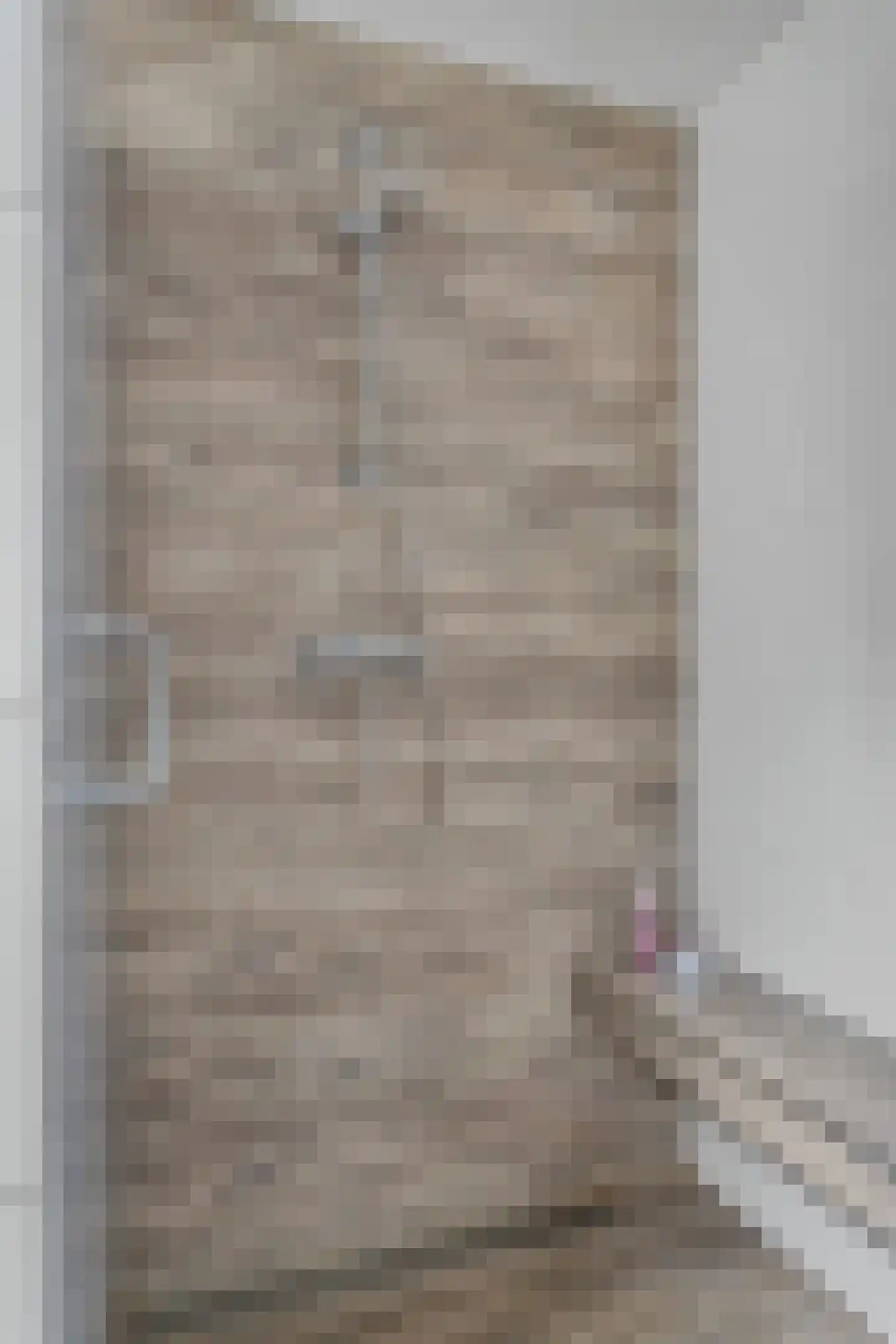 Gening 35 Afferden L thumbnail 22
