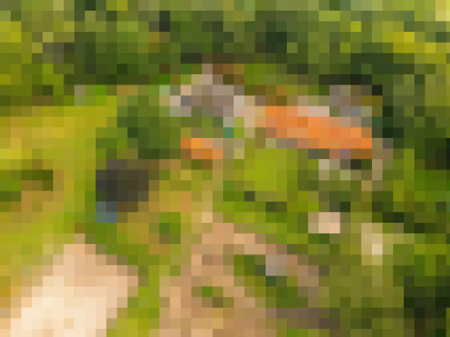 Gening 35 Afferden L foto 3
