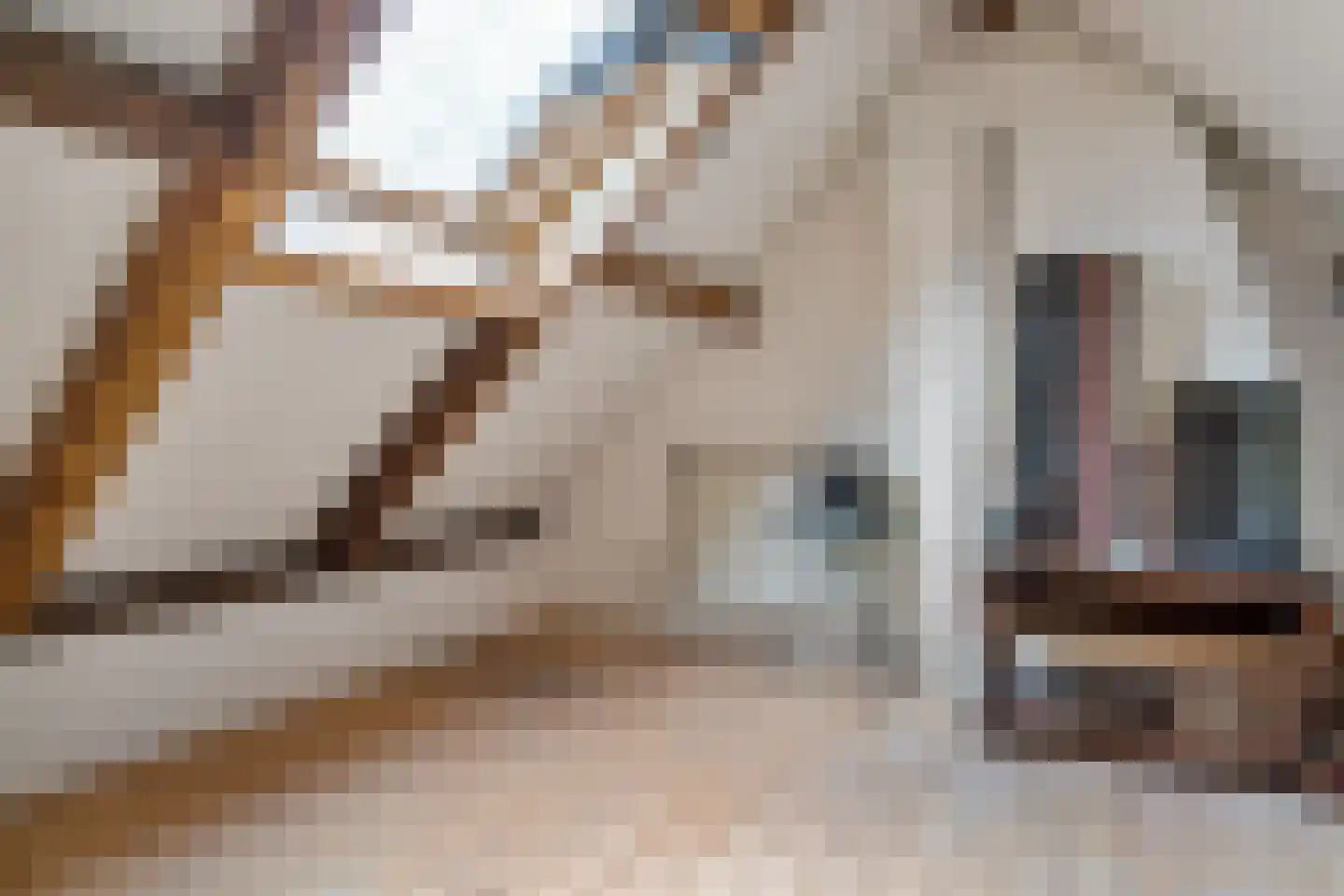 Gening 35 Afferden L thumbnail 32
