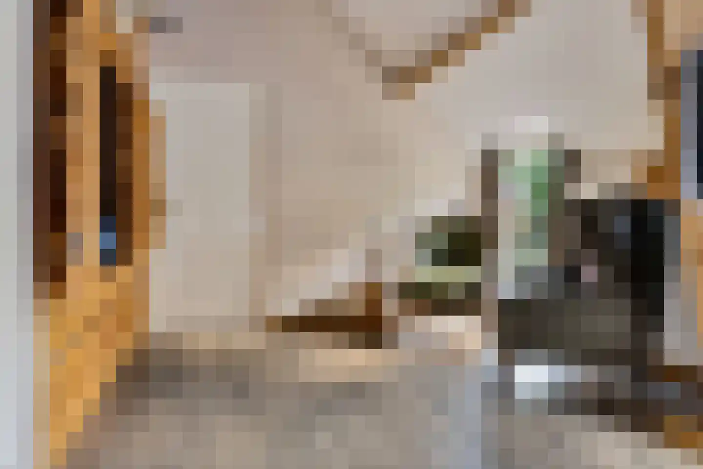 Gening 35 Afferden L thumbnail 62