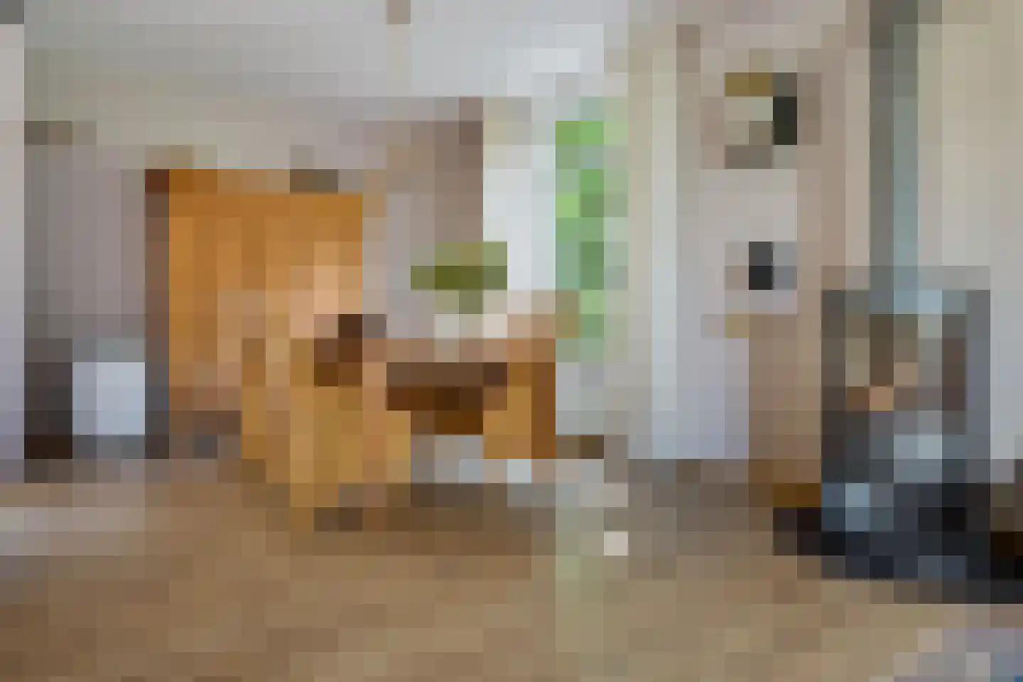 Gening 35 Afferden L thumbnail 7