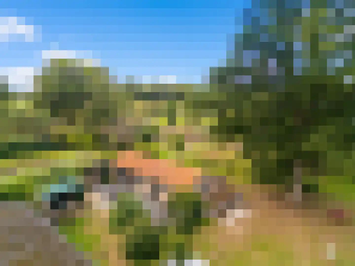 Gening 35 Afferden L thumbnail 78