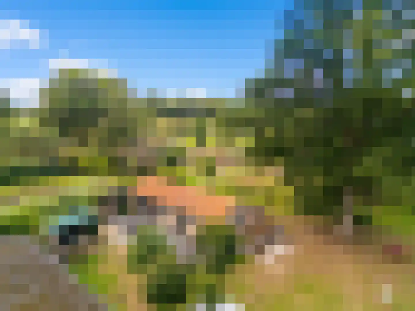Gening 35 Afferden L thumbnail 79