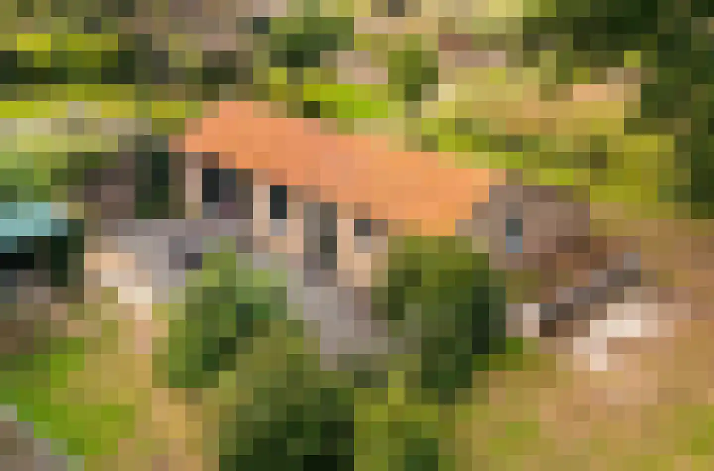 Gening 35 Afferden L thumbnail 79