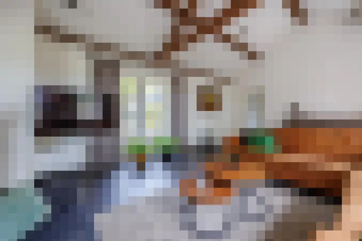 Gening 5 Afferden L thumbnail 10