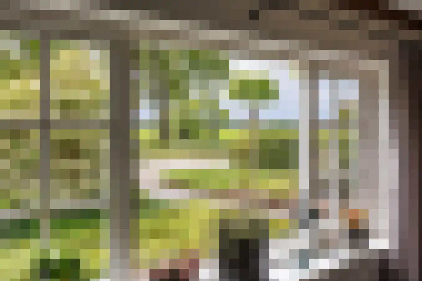 Gening 5 Afferden L thumbnail 13