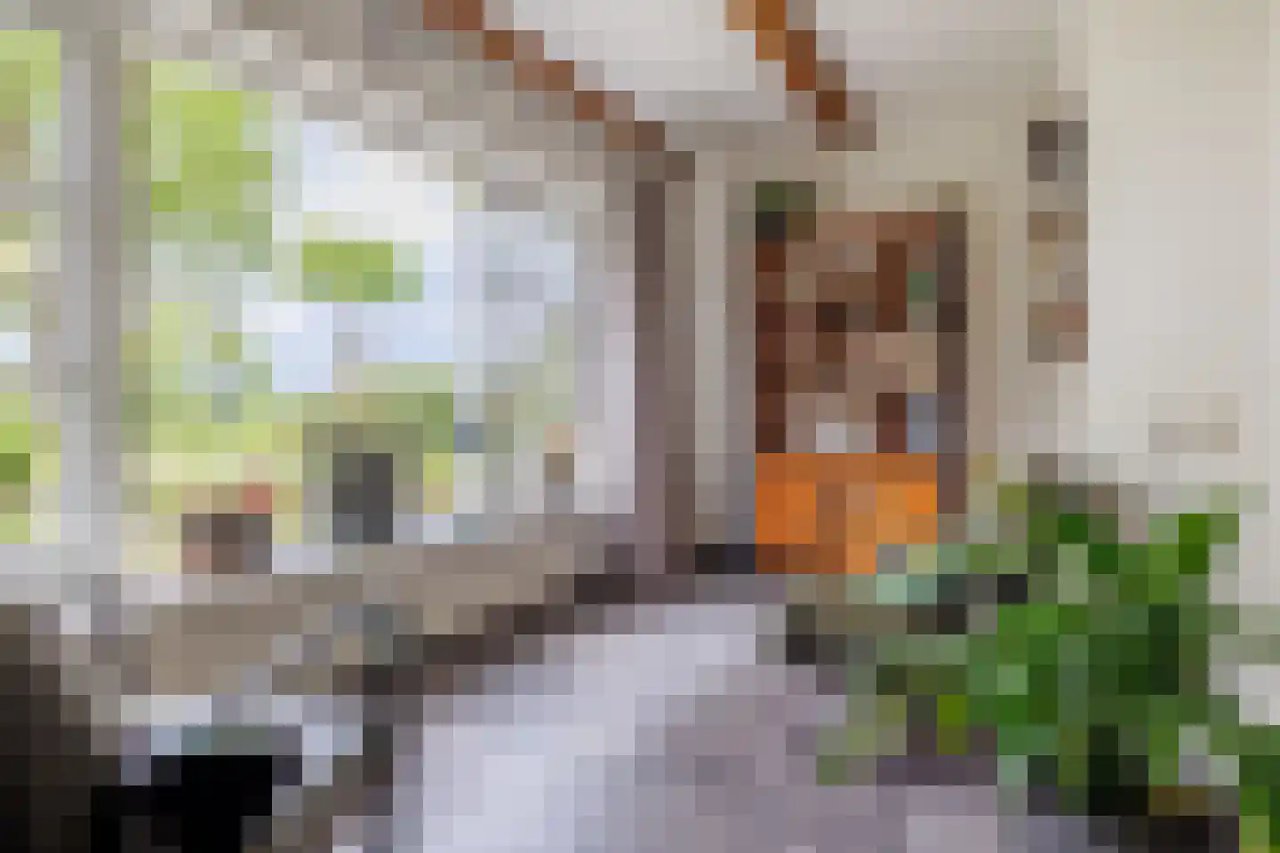 Gening 5 Afferden L thumbnail 14