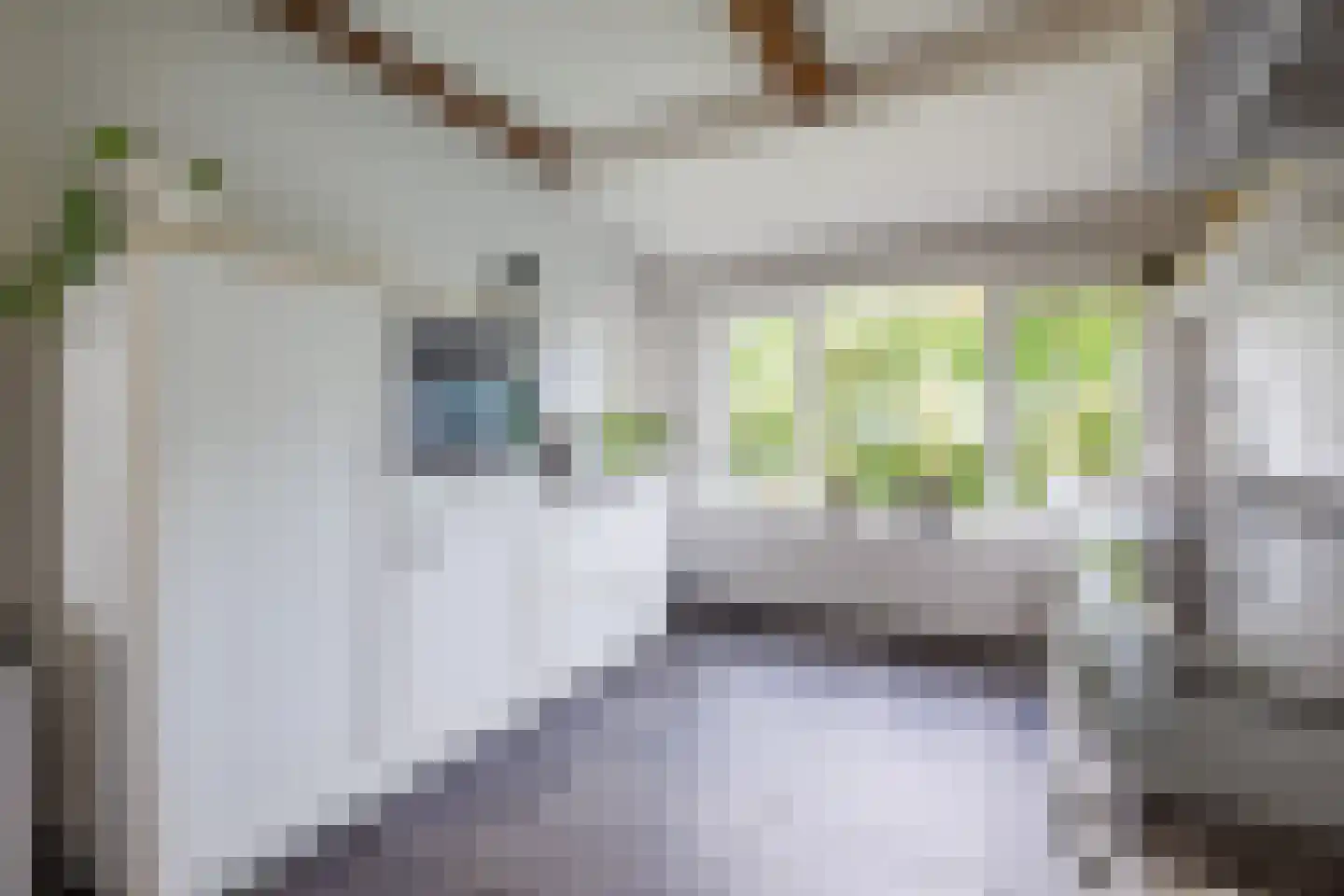 Gening 5 Afferden L thumbnail 22