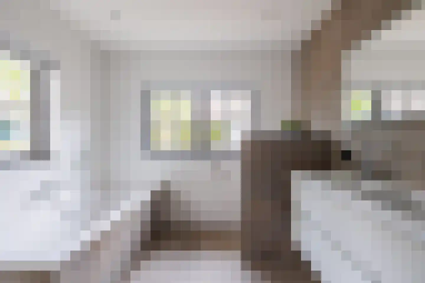 Gening 5 Afferden L thumbnail 27