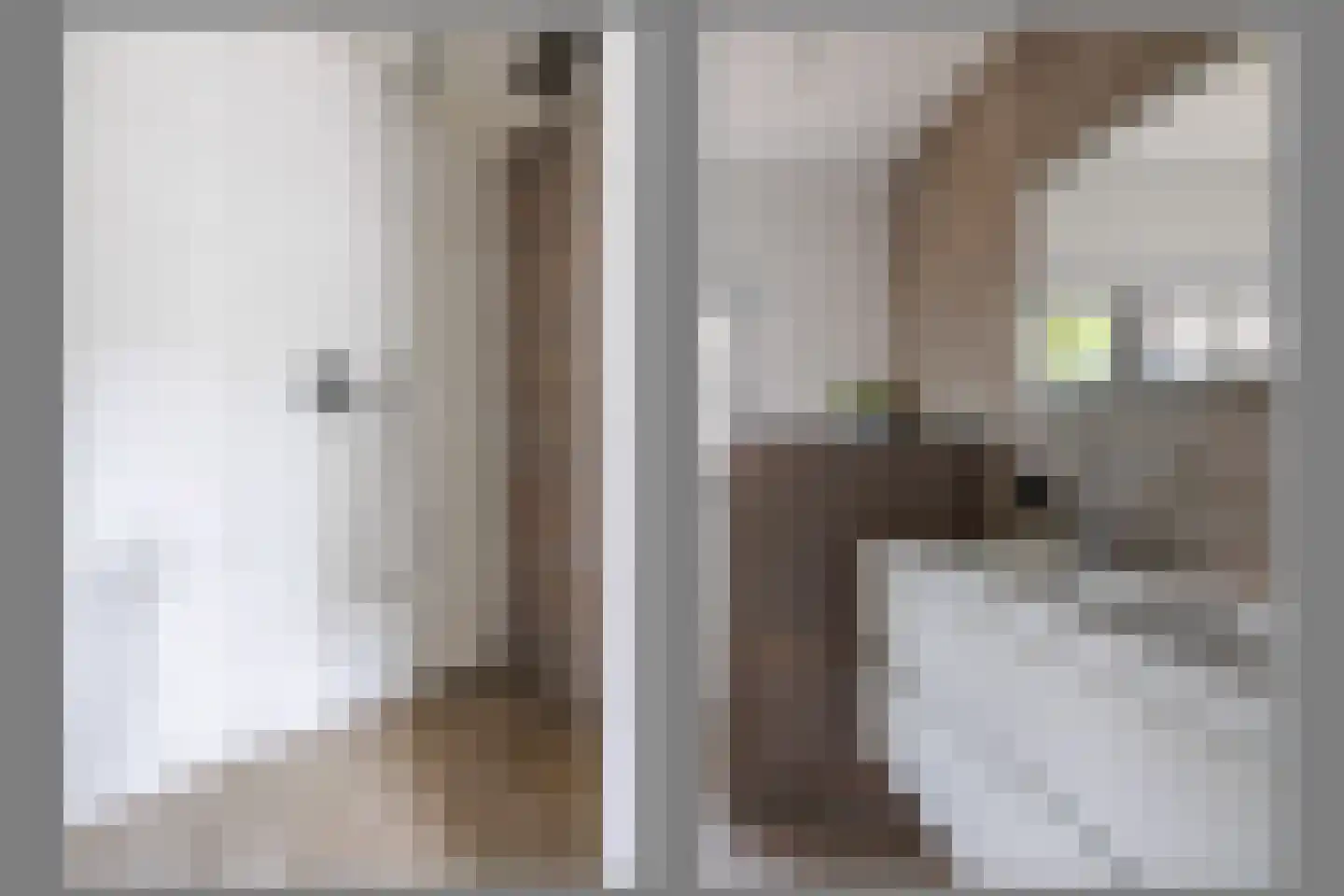 Gening 5 Afferden L thumbnail 30