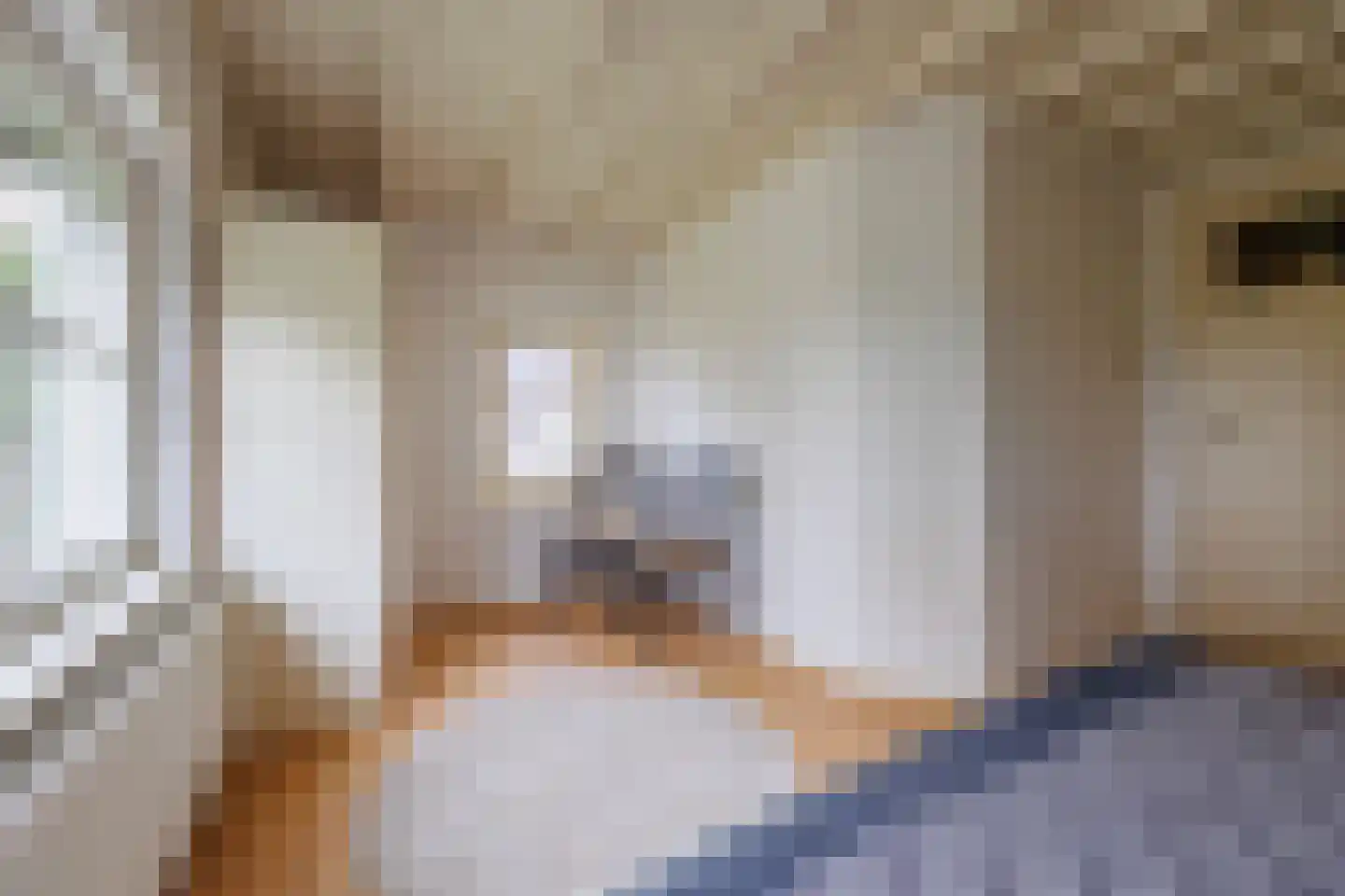 Gening 5 Afferden L thumbnail 42