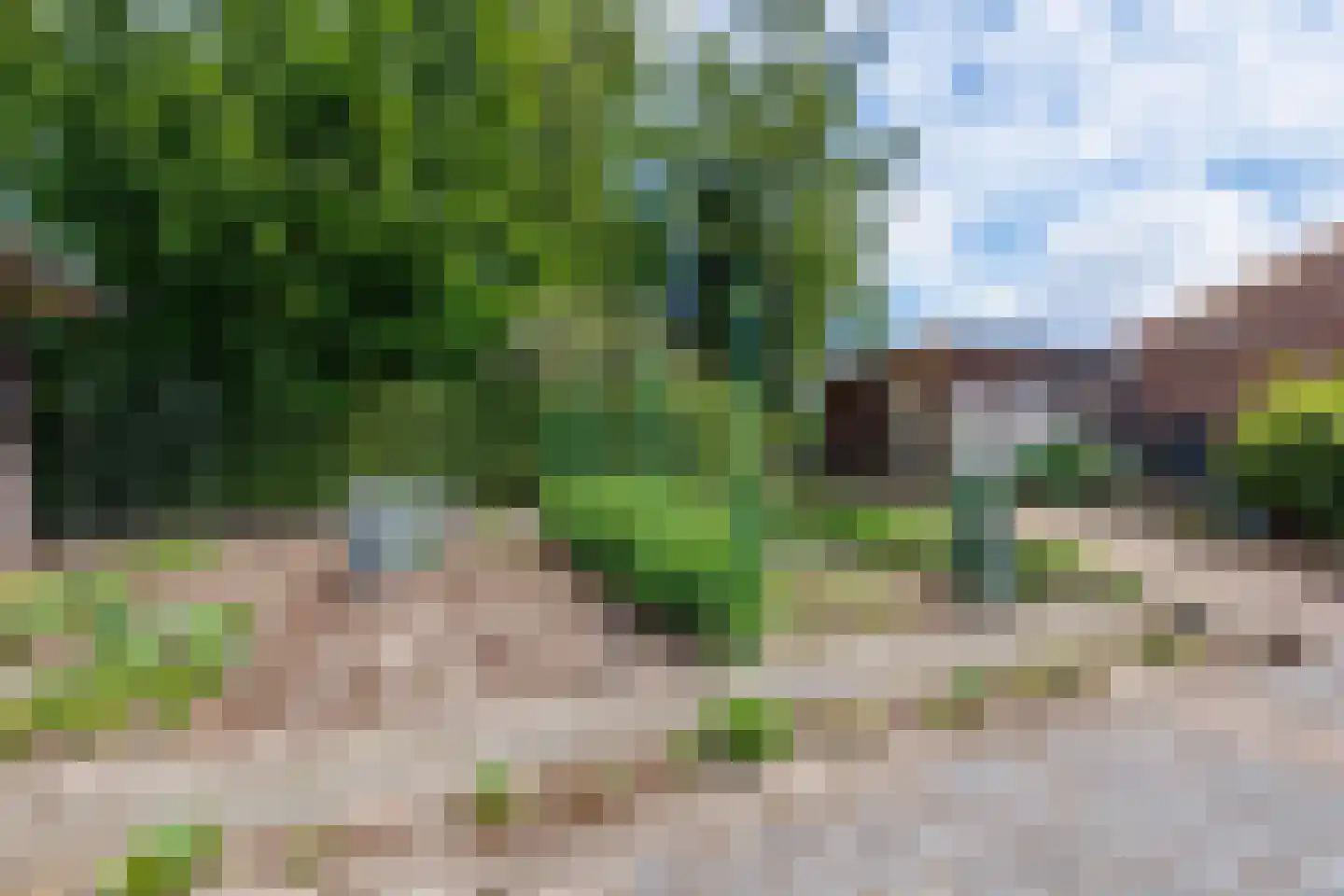 Gening 5 Afferden L thumbnail 47