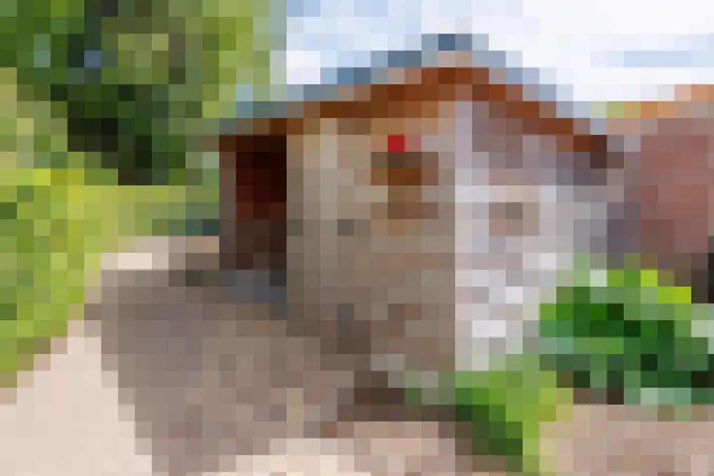 Gening 5 Afferden L thumbnail 48