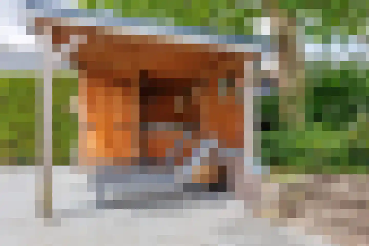 Gening 5 Afferden L thumbnail 62