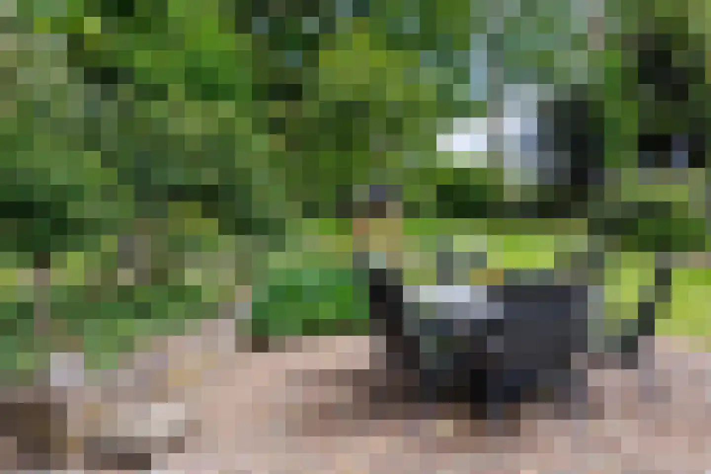 Gening 5 Afferden L thumbnail 64
